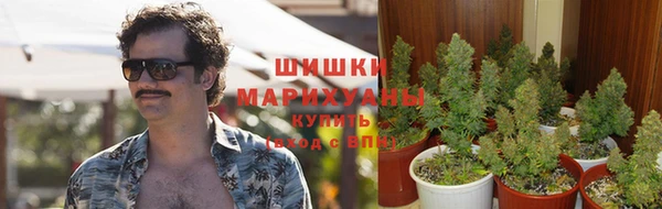 mdpv Заволжск