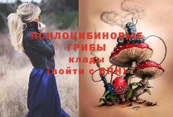 МДПВ Заволжье