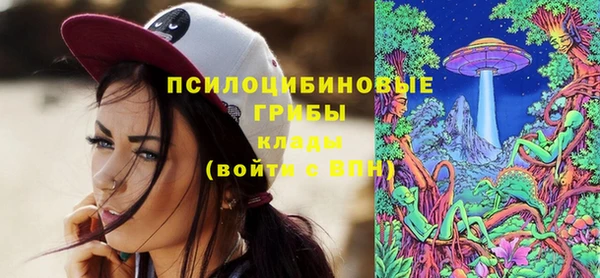 МДПВ Заволжье